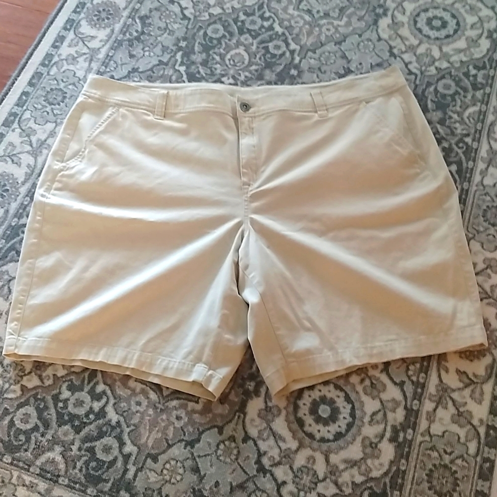 Lane Bryant Shorts